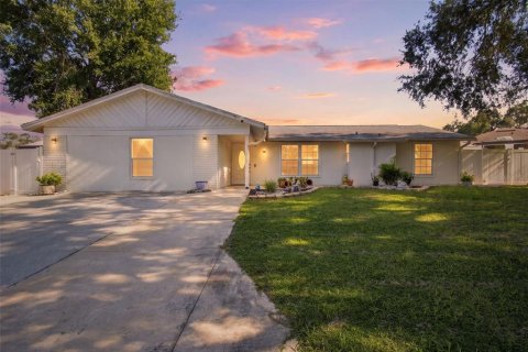 House in Brandon, Florida 4 bedrooms, 228.08 sq.m. № 2398429