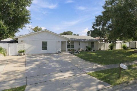 House in Brandon, Florida 4 bedrooms, 228.08 sq.m. № 2398429 - photo 4