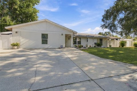 House in Brandon, Florida 4 bedrooms, 228.08 sq.m. № 2398429 - photo 3
