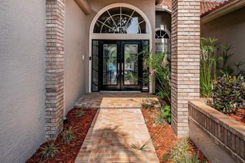 House in Palm Harbor, Florida 3 bedrooms, 293.94 sq.m. № 1789219 - photo 13