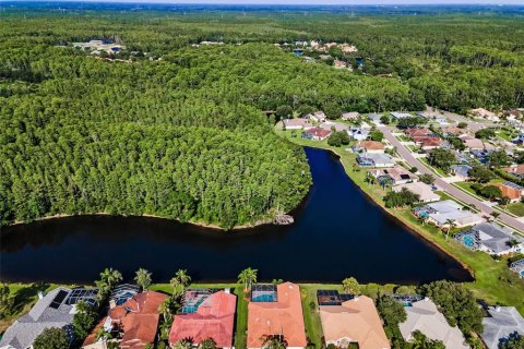 House in Palm Harbor, Florida 3 bedrooms, 293.94 sq.m. № 1789219 - photo 3