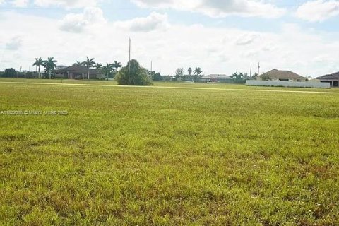 Land in Cape Coral, Florida № 1809048 - photo 7