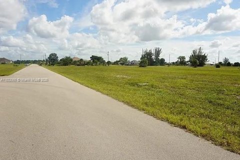 Land in Cape Coral, Florida № 1809048 - photo 2