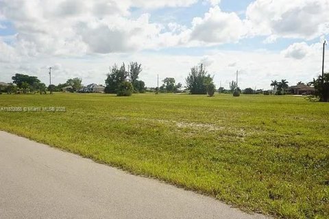 Land in Cape Coral, Florida № 1809048 - photo 1
