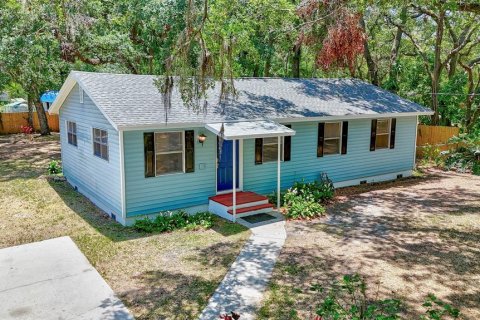 House in Tampa, Florida 3 bedrooms, 98.1 sq.m. № 1749495 - photo 27