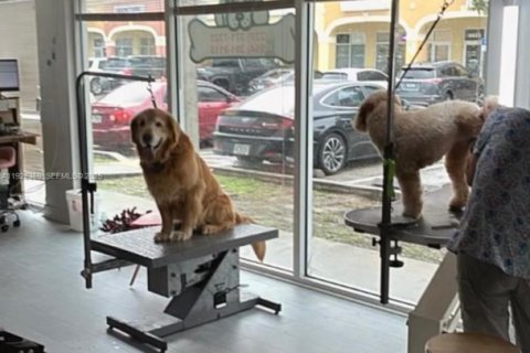 Propiedad comercial en venta en Davie, Florida № 2039765 - foto 5