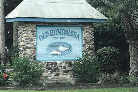 Land in Homosassa, Florida № 1888475 - photo 11