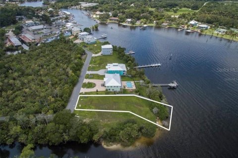 Land in Homosassa, Florida № 1888475 - photo 5