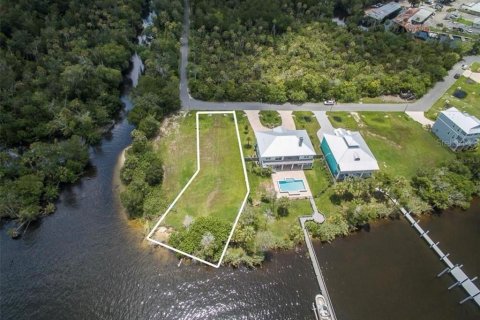 Land in Homosassa, Florida № 1888475 - photo 3