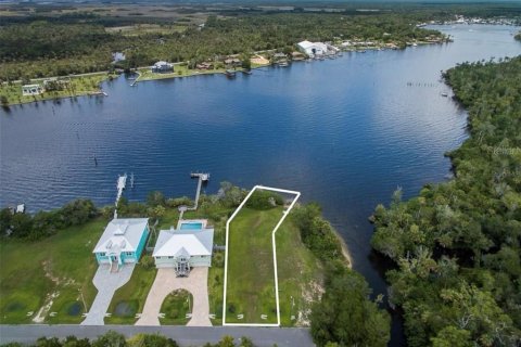 Land in Homosassa, Florida № 1888475 - photo 2