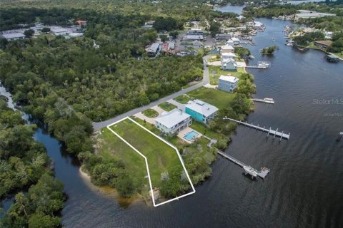 Land in Homosassa, Florida № 1888475 - photo 4