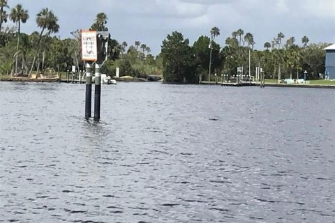 Land in Homosassa, Florida № 1888475 - photo 9