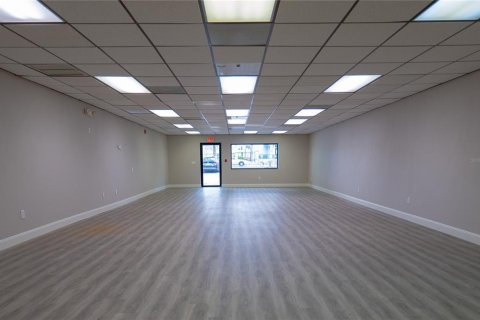 Immobilier commercial à louer à Dunedin, Floride: 482.35 m2 № 2128094 - photo 4