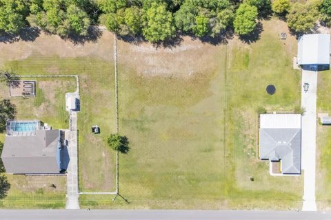 Land in Lakeland, Florida № 1720798 - photo 6