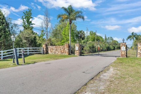 Land in Lakeland, Florida № 1720798 - photo 12