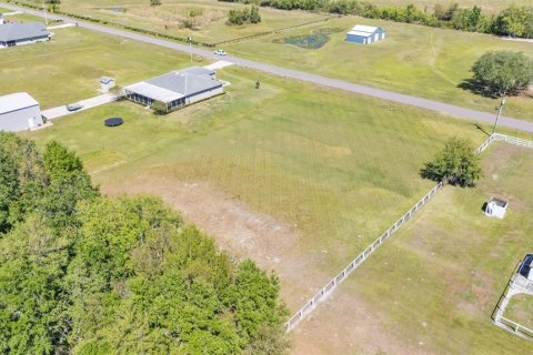 Land in Lakeland, Florida № 1720798 - photo 8