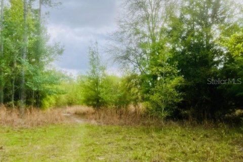 Terreno en venta en Branford, Florida № 1722841 - foto 5