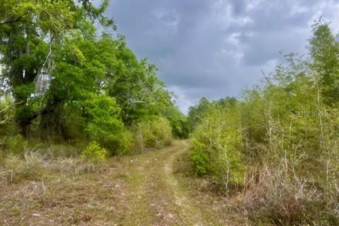 Terreno en venta en Branford, Florida № 1722841 - foto 4