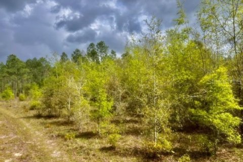 Terreno en venta en Branford, Florida № 1722841 - foto 1