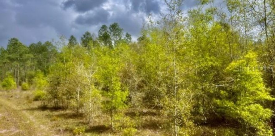 Terreno en Branford, Florida № 1722841