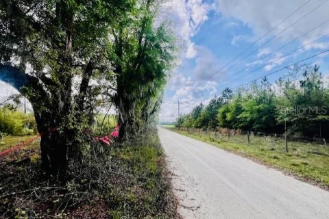 Terreno en venta en Branford, Florida № 1722841 - foto 7
