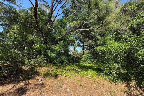 Land in Brooksville, Florida № 1723088 - photo 13