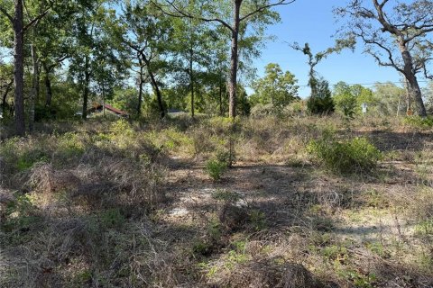 Land in Brooksville, Florida № 1723088 - photo 7