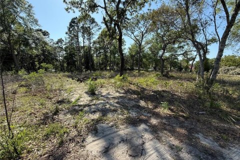 Land in Brooksville, Florida № 1723088 - photo 8