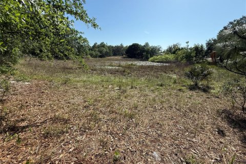 Land in Brooksville, Florida № 1723088 - photo 19