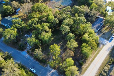 Land in Brooksville, Florida № 1723088 - photo 24