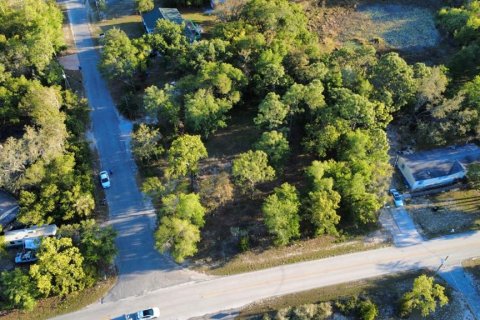 Land in Brooksville, Florida № 1723088 - photo 27