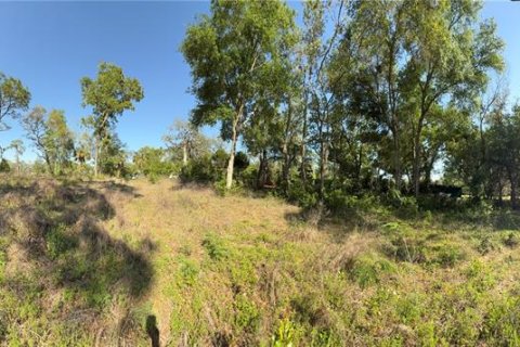 Land in Brooksville, Florida № 1723088 - photo 16