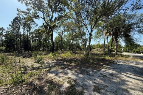 Land in Brooksville, Florida № 1723088 - photo 3