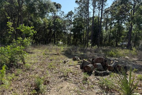 Land in Brooksville, Florida № 1723088 - photo 12