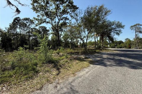 Land in Brooksville, Florida № 1723088 - photo 4