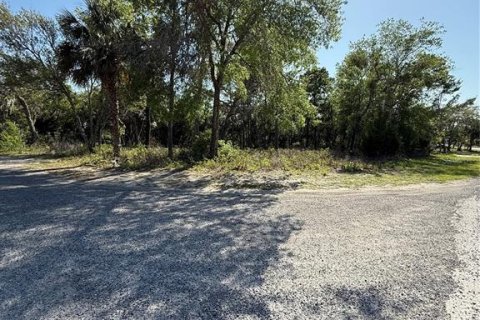 Land in Brooksville, Florida № 1723088 - photo 10