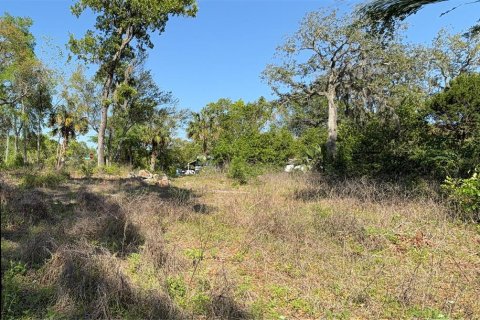 Land in Brooksville, Florida № 1723088 - photo 20