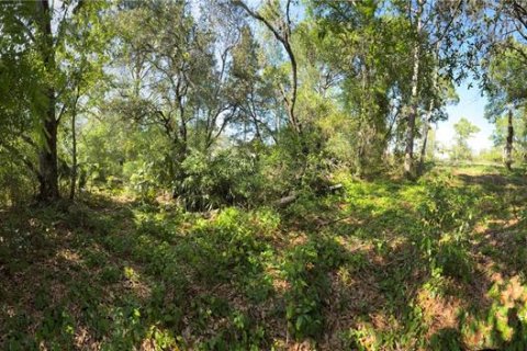 Land in Brooksville, Florida № 1723088 - photo 15
