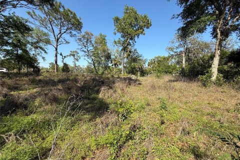 Land in Brooksville, Florida № 1723088 - photo 18