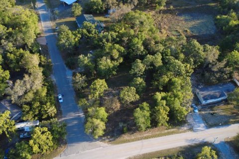 Land in Brooksville, Florida № 1723088 - photo 23