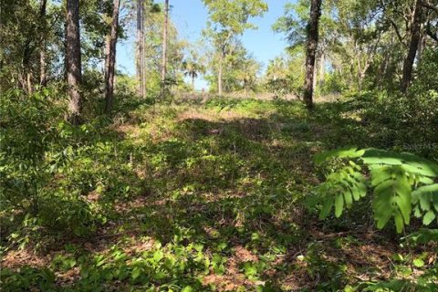 Land in Brooksville, Florida № 1723088 - photo 17