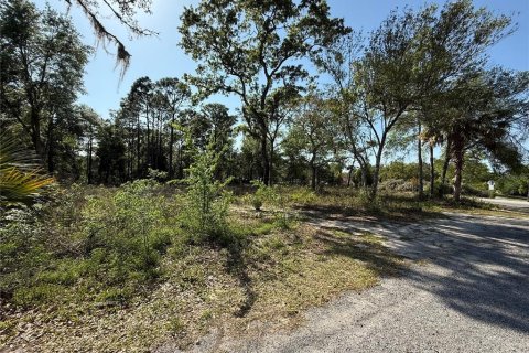 Land in Brooksville, Florida № 1723088 - photo 14
