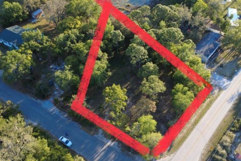 Land in Brooksville, Florida № 1723088 - photo 21