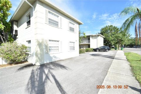 Apartamento en alquiler en Tampa, Florida, 1 dormitorio, 51.1 m2 № 1915600 - foto 3