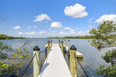 Townhouse in PALM RIVER TOWNHOMES in Tampa, Florida 2 bedrooms, 114.27 sq.m. № 2227406 - photo 29
