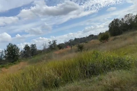 Land in Lake Wales, Florida № 2166198 - photo 7