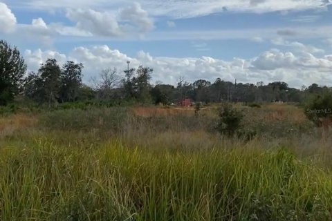 Land in Lake Wales, Florida № 2166198