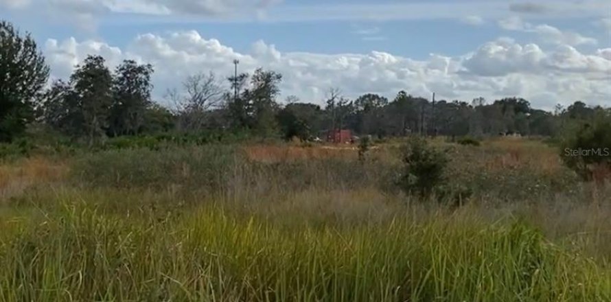 Land in Lake Wales, Florida № 2166198