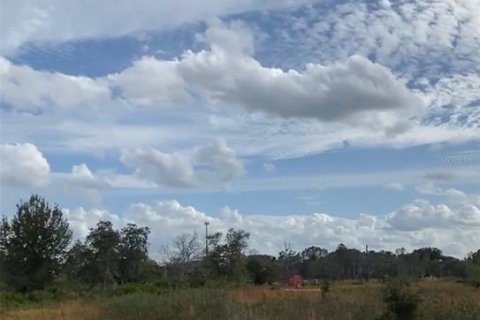 Land in Lake Wales, Florida № 2166198 - photo 4