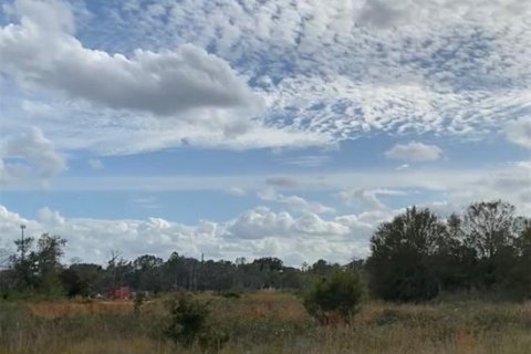 Land in Lake Wales, Florida № 2166198 - photo 6